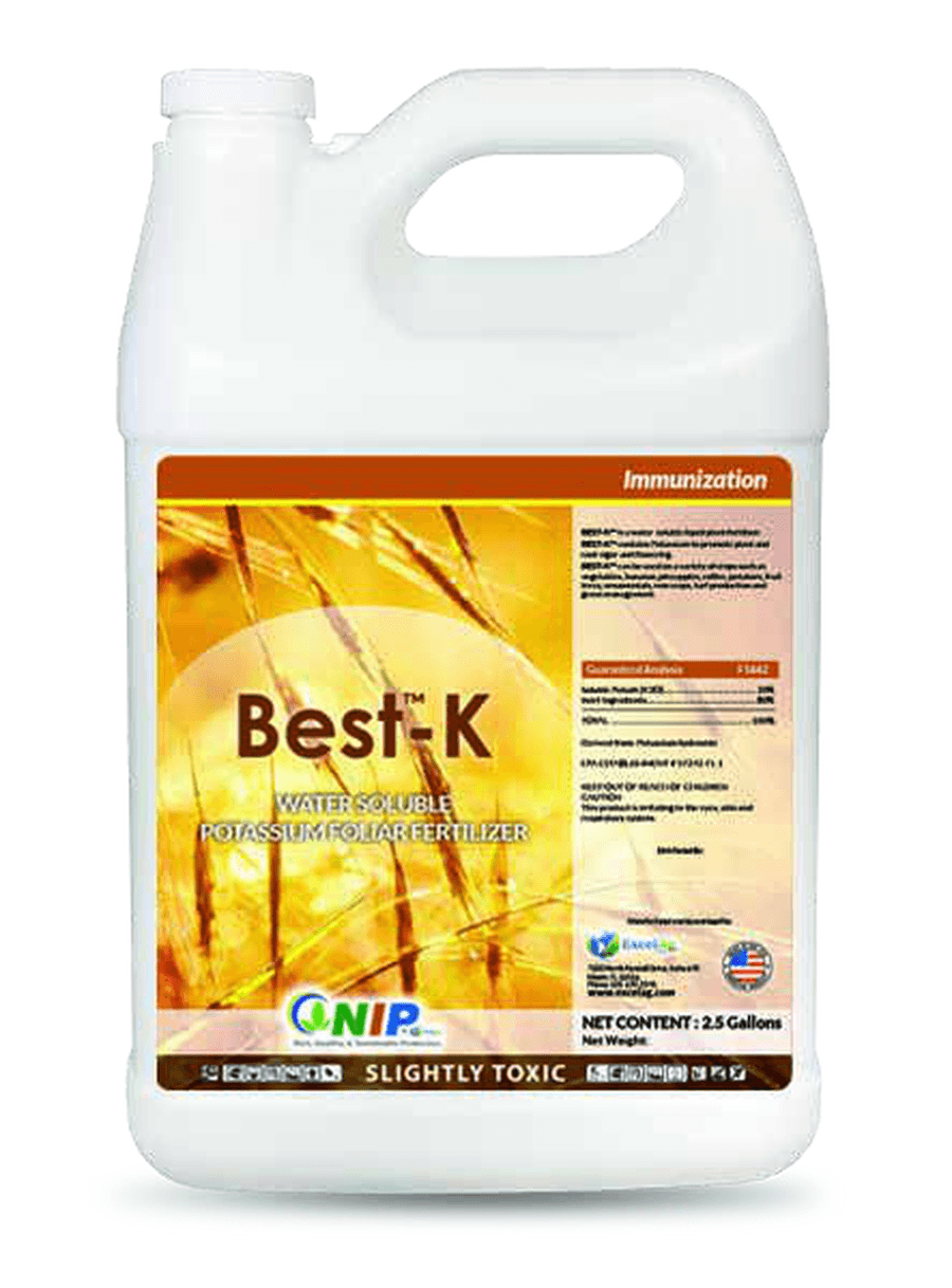 Best-K