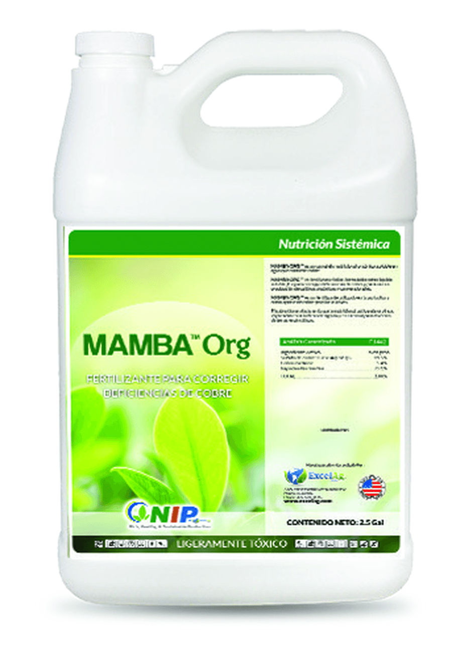 Mamba Org