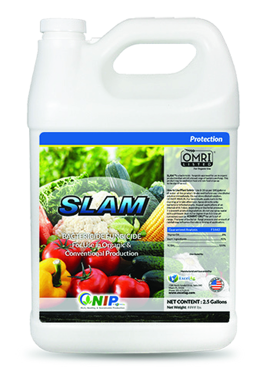 Slam